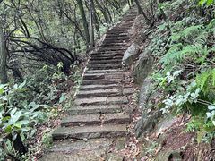 -杭州半山国家森林公园