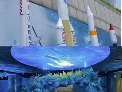 -陕西自然博物馆