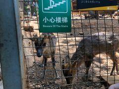 -昆明动物园
