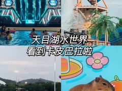 -天目湖水世界