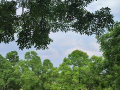-钟山体育运动公园