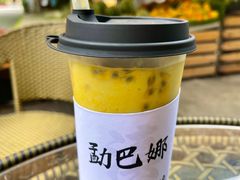 -云南勐巴娜西珍奇园