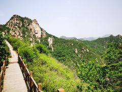 -大岭沟猕猴桃谷风景区