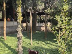 -成都武侯祠博物馆