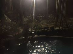 -江南天池高山汤泉城