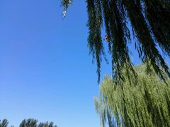 -白洋淀景区