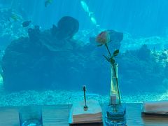 -海棠湾洲际-涛·海底餐厅·美人鱼·自助餐·海底隧道