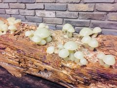 -鱼桥巷·美学川菜