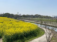 -广富林郊野公园