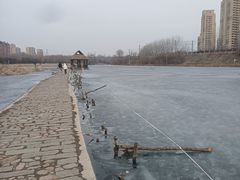 -前关湿地公园