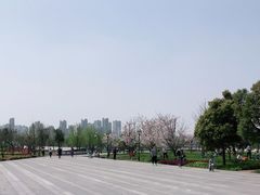 -上海山野camping·户外天幕烧烤·团建拓展营地
