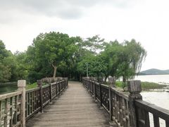 -长广溪湿地公园