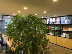 -红人馆造型十添