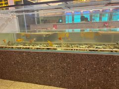 水产区-令狐冲烤鱼·烧菜馆(达明店)