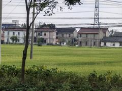 -上海佘山国家森林公园天马山园