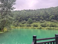 -九龙潭景区