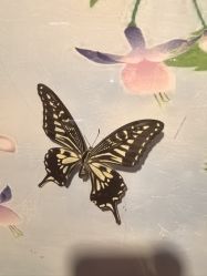 -酷嗒动物文化乐园(cutezoo西溪乐天城店)