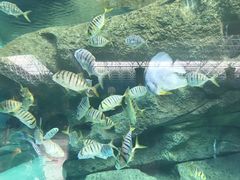 -波塞冬旅游度假区