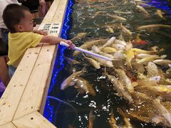 -凯德广场(武胜路店)