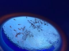-欢乐海岸海洋奇梦馆