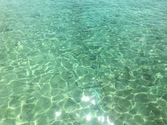 -东姑阿都拉曼海洋公园