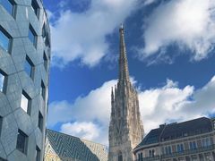 -斯蒂芬主教座堂(Stephansdom)