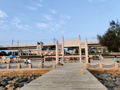 -宝安西湾红树林湿地公园