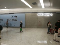 -上海浦东国际机场-T2航站楼