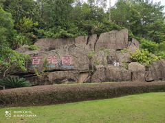 -神光山国家森林公园