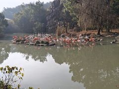 -宁波野生动物园