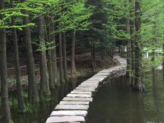 -四明山国家森林公园