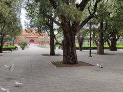 -北京市劳动人民文化宫(太庙)