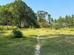 -黄埔油麻山森林公园