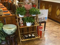 -荷花泰菜(东方新天地店)