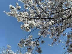 -龙美术馆(西岸馆)