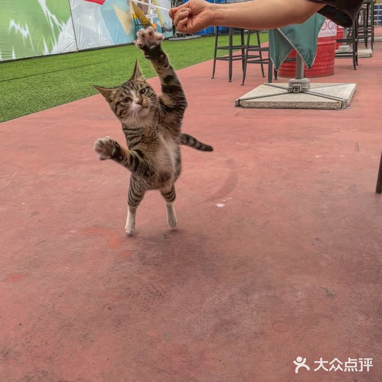 深圳探店｜街头氛围十足的棒球🥎咖啡馆～