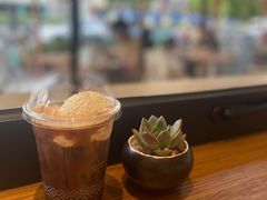 月球冷萃-Peet's Coffee皮爷咖啡(大学路店)