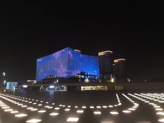 -南京眼步行桥