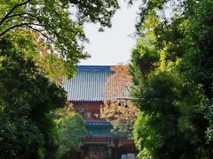 -灵谷景区