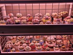 -琥珀老六龙虾(四里河店)