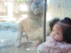 -杭州野生动物世界