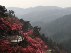 -木兰云雾山