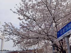 -南浦大桥长途旅游客运站