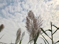 -章太炎故居
