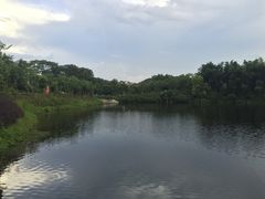 iphone_upload_pic-大屏嶂森林公园
