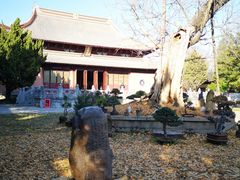 -苏州文庙(姑苏区)