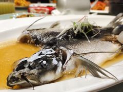 酒香天山鳕鱼-蟹榭·本帮江浙菜·蟹宴(五角场合生汇商场店)