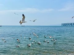 -银沙滩浴场