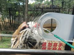 -贵州森林野生动物园