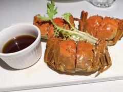 -青叶202都市餐厅(迪诺水镇店)